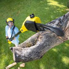 Best Pest Control for Lawns  in Coaldale, PA
